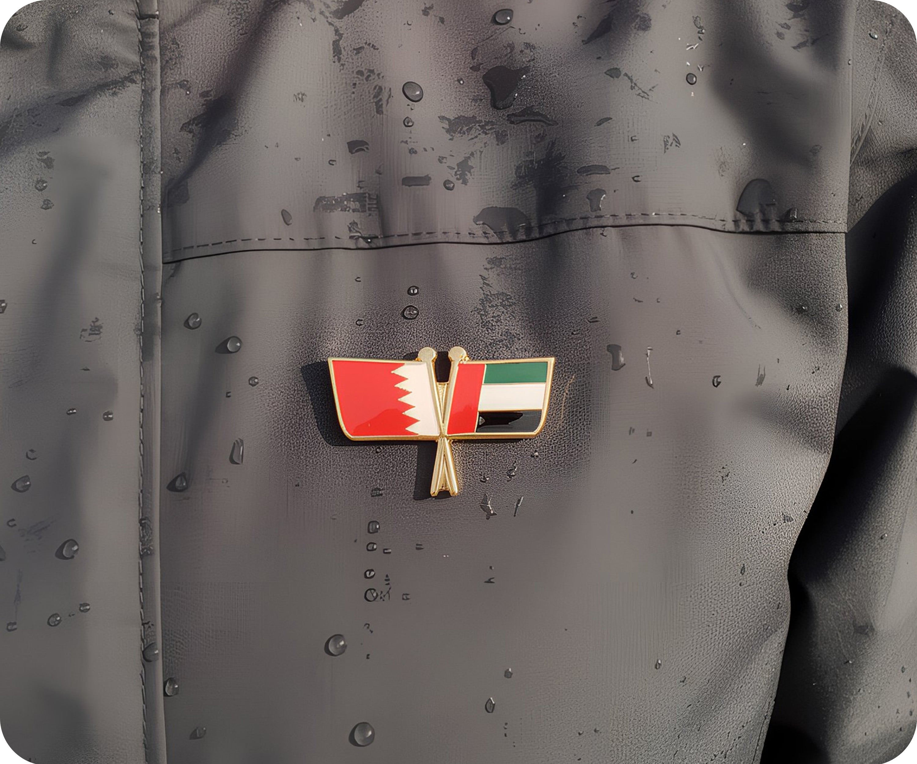 Bahrain & United Arab Emirates UAE  Friendship Pin Badge