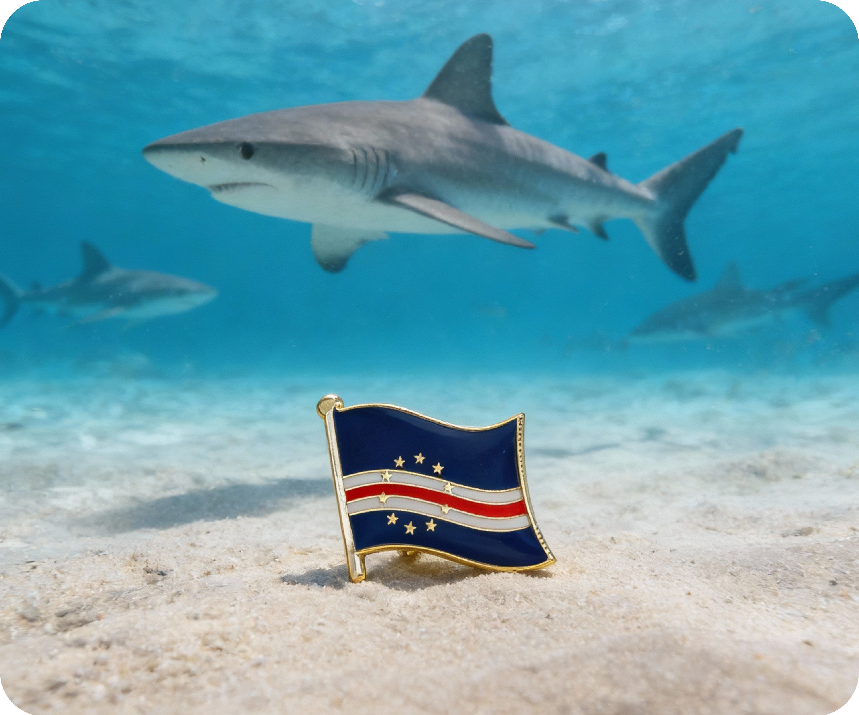 Pin con la bandera del estado de Alaska, EE. UU. Imagen secundaria del producto