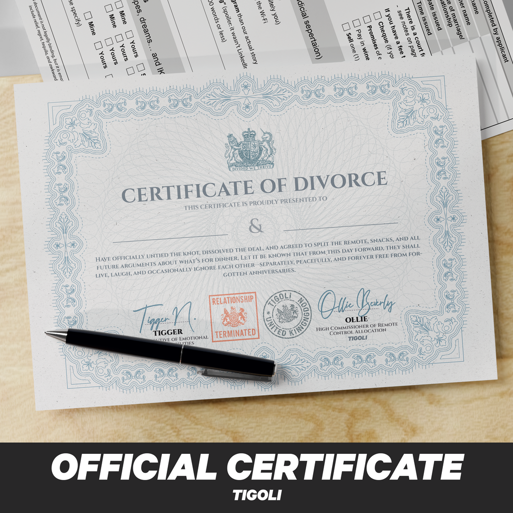 Divorce in a Box – Funny Novelty Gag Gift Set with Divorce Certificate, Application Form, Drinks Voucher, Dating Coupon, Party Horn & Stickers