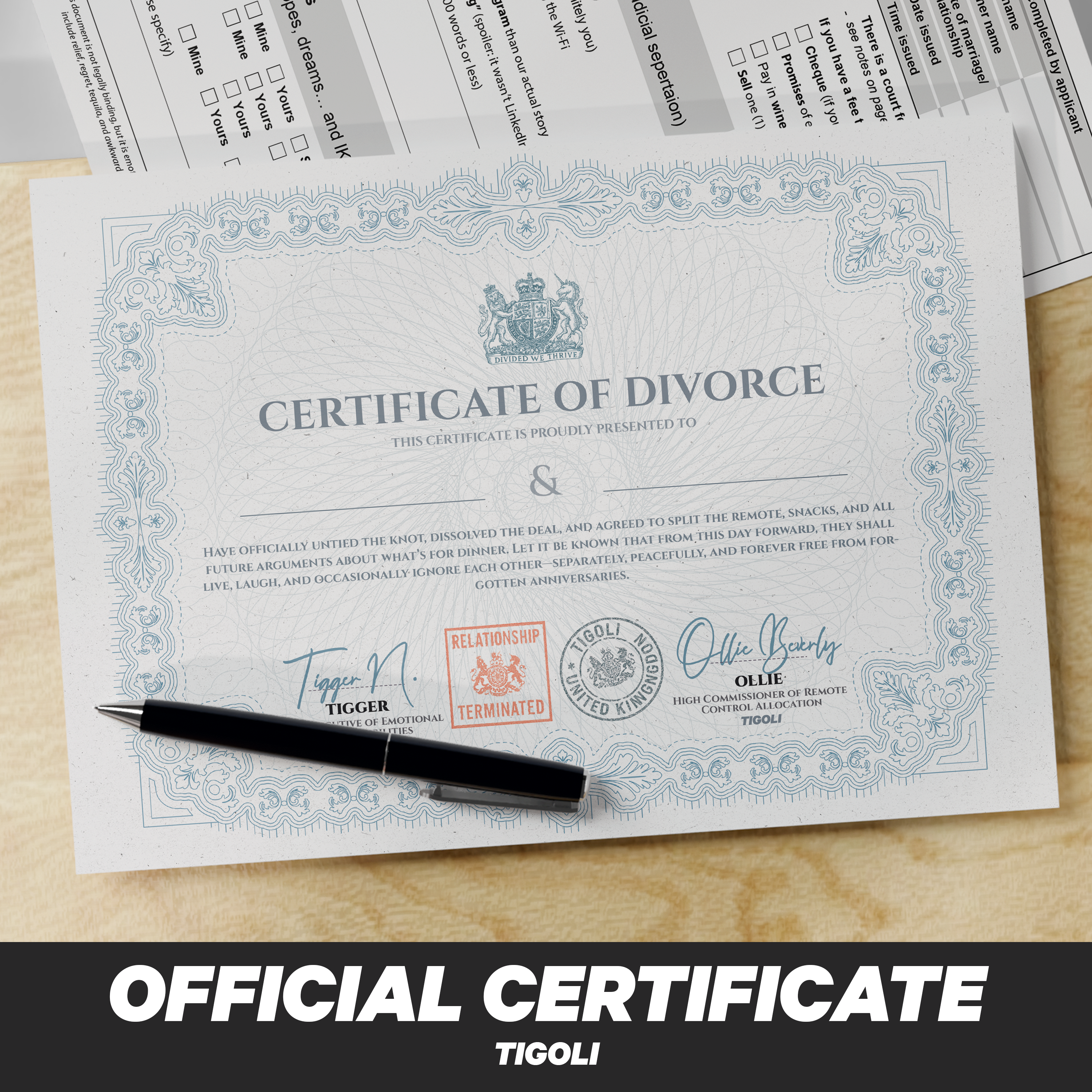 Divorce in a Box – Funny Novelty Gag Gift Set with Divorce Certificate, Application Form, Drinks Voucher, Dating Coupon, Party Horn & Stickers