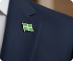 Devon Devonshire Regional English County Flag Pin Badge
