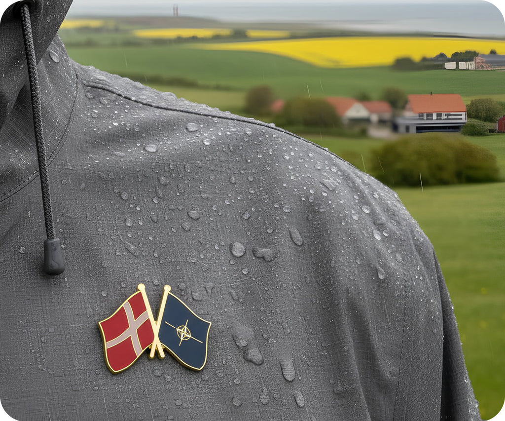 Denmark & NATO Friendship Pin Badge