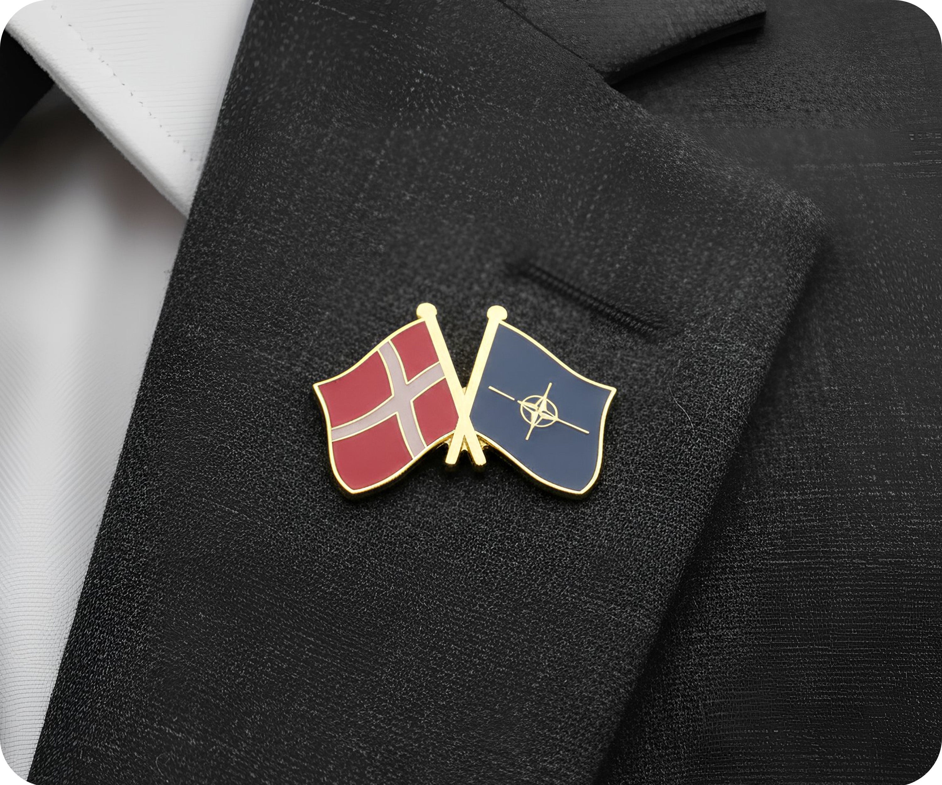 Denmark & NATO Friendship Pin Badge