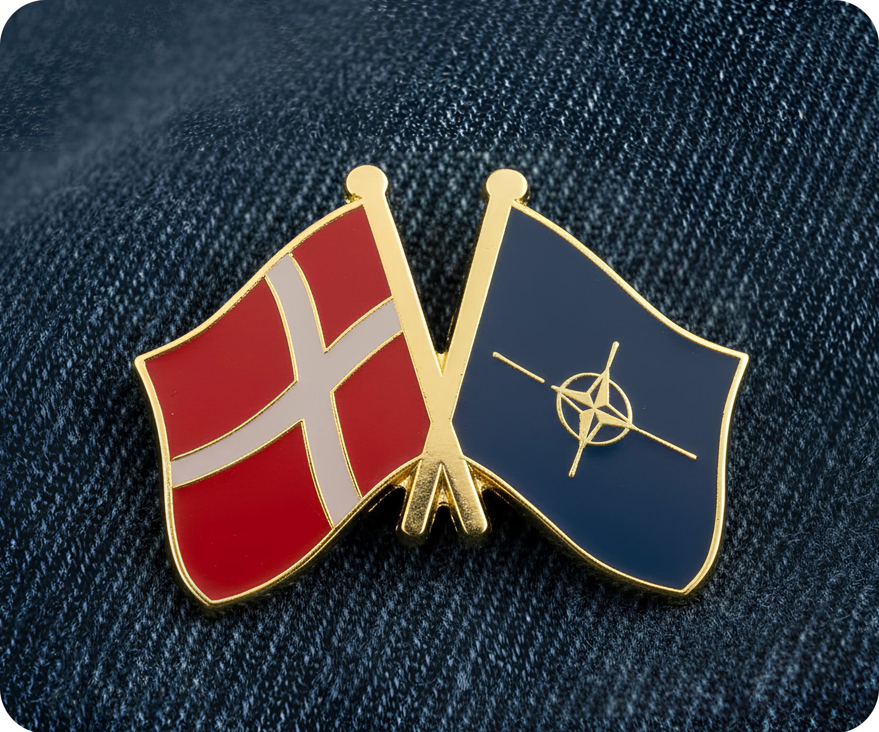 Denmark & NATO Friendship Pin Badge