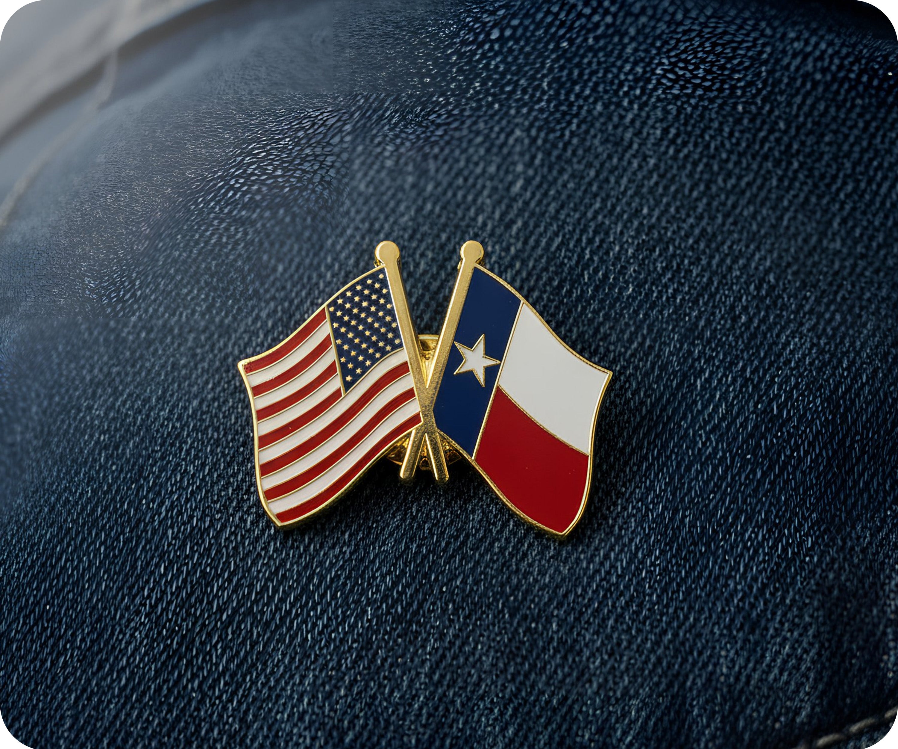 United States & Texas Friendship Pin Badge