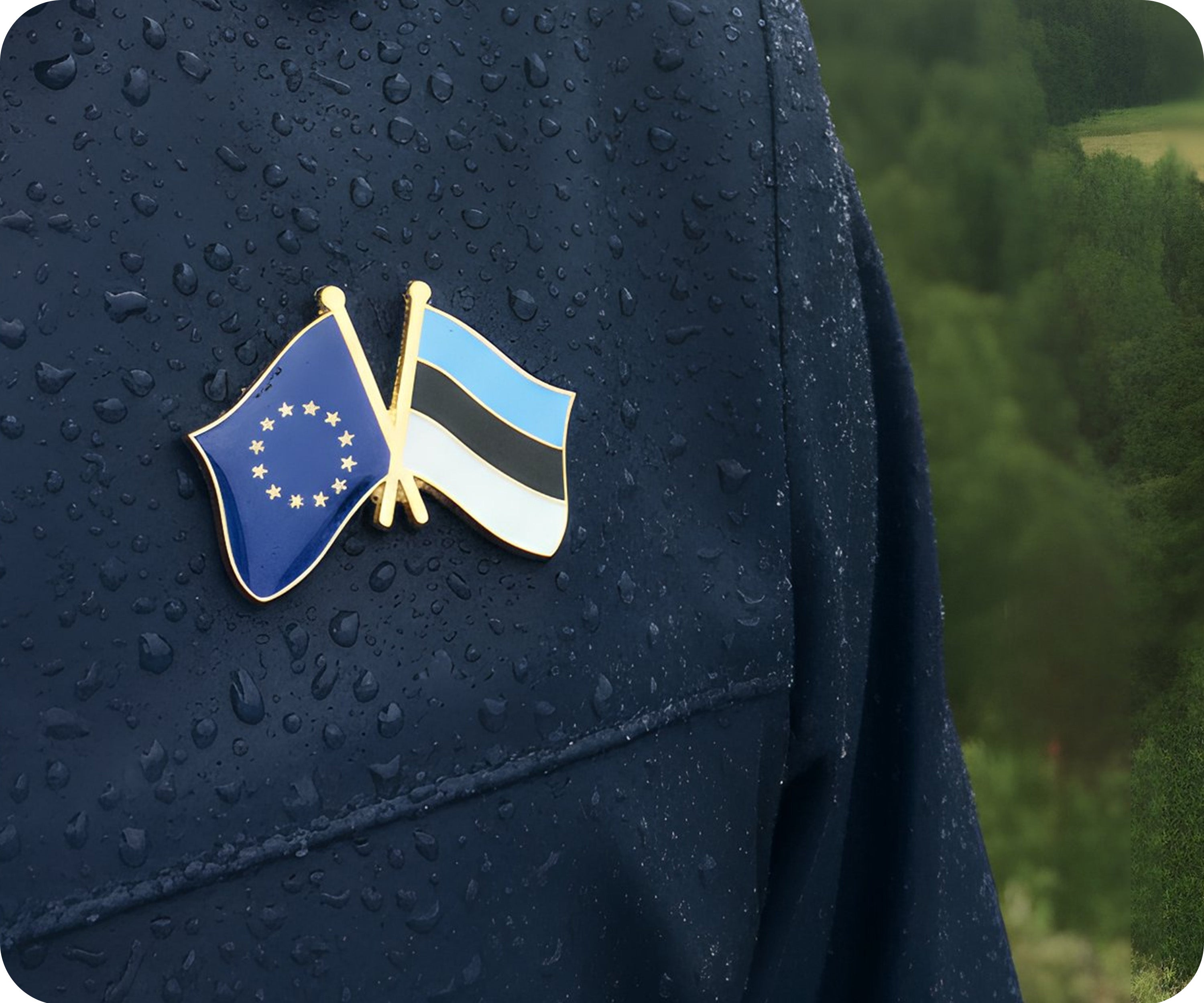 European Union EU & Estonia Friendship Pin Badge
