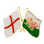 England & Wales Friendship Pin Badge