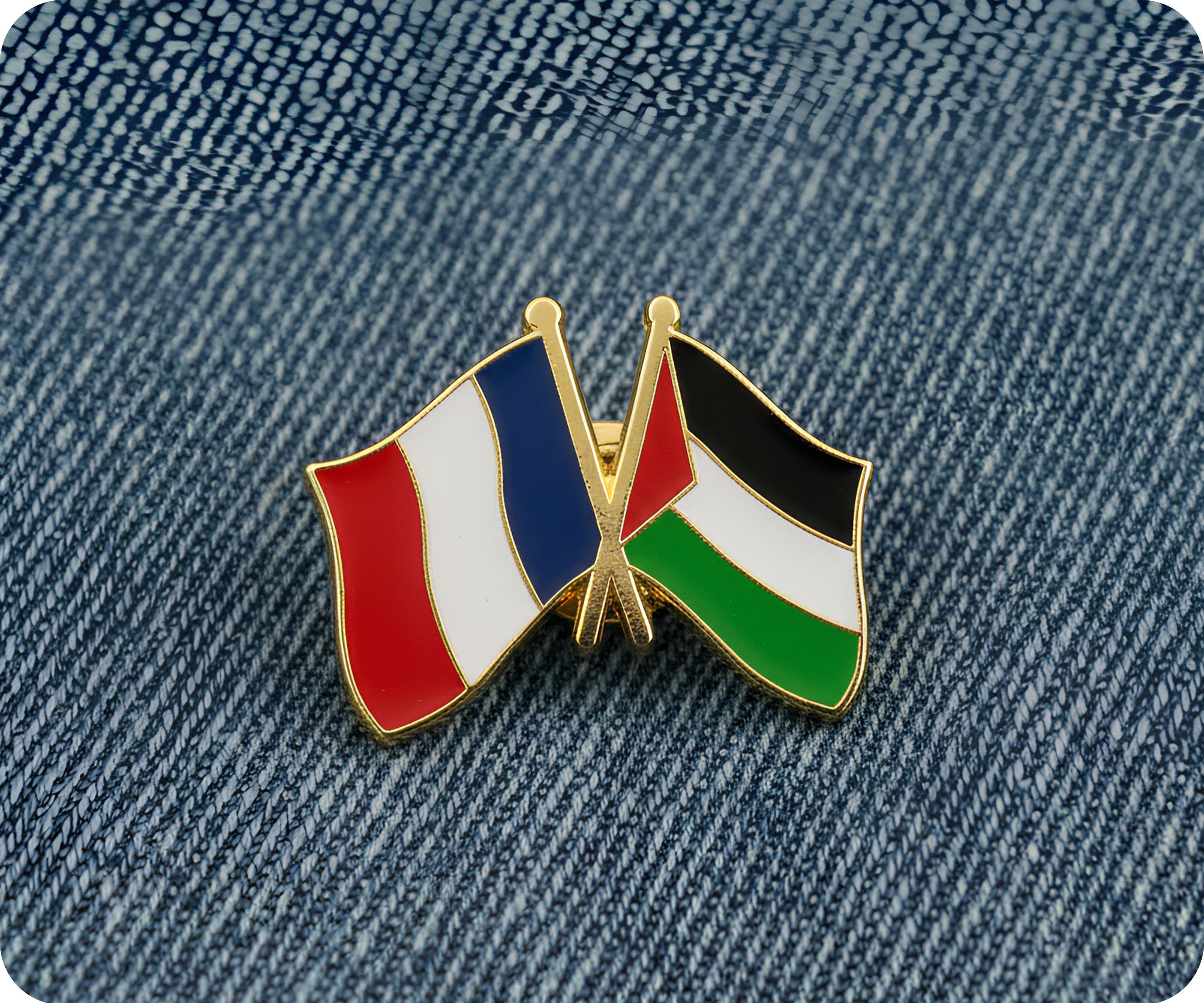 France & Palestine Friendship Pin Badge
