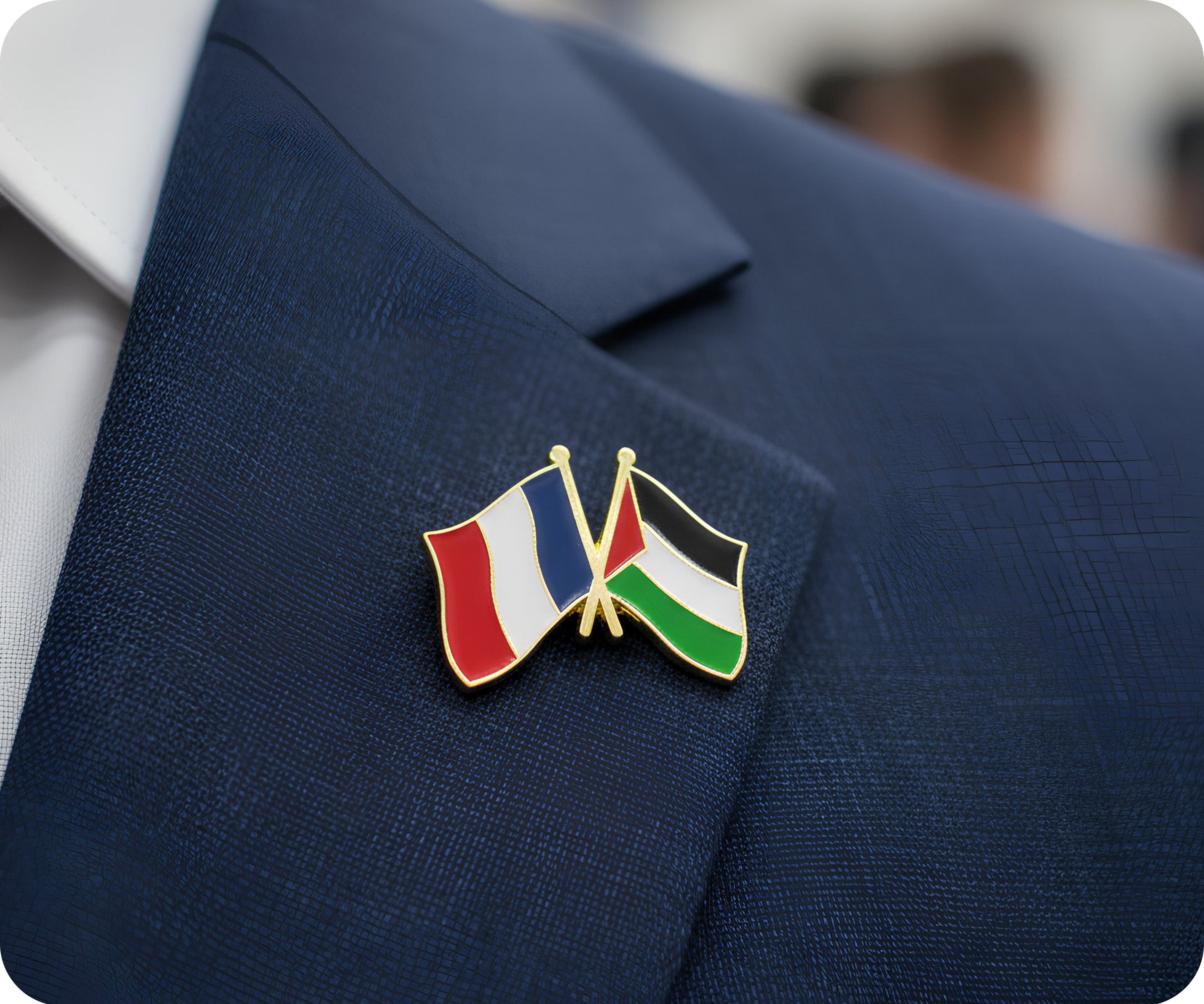 Pin de la amistad entre Francia y Palestina Imagen secundaria del producto