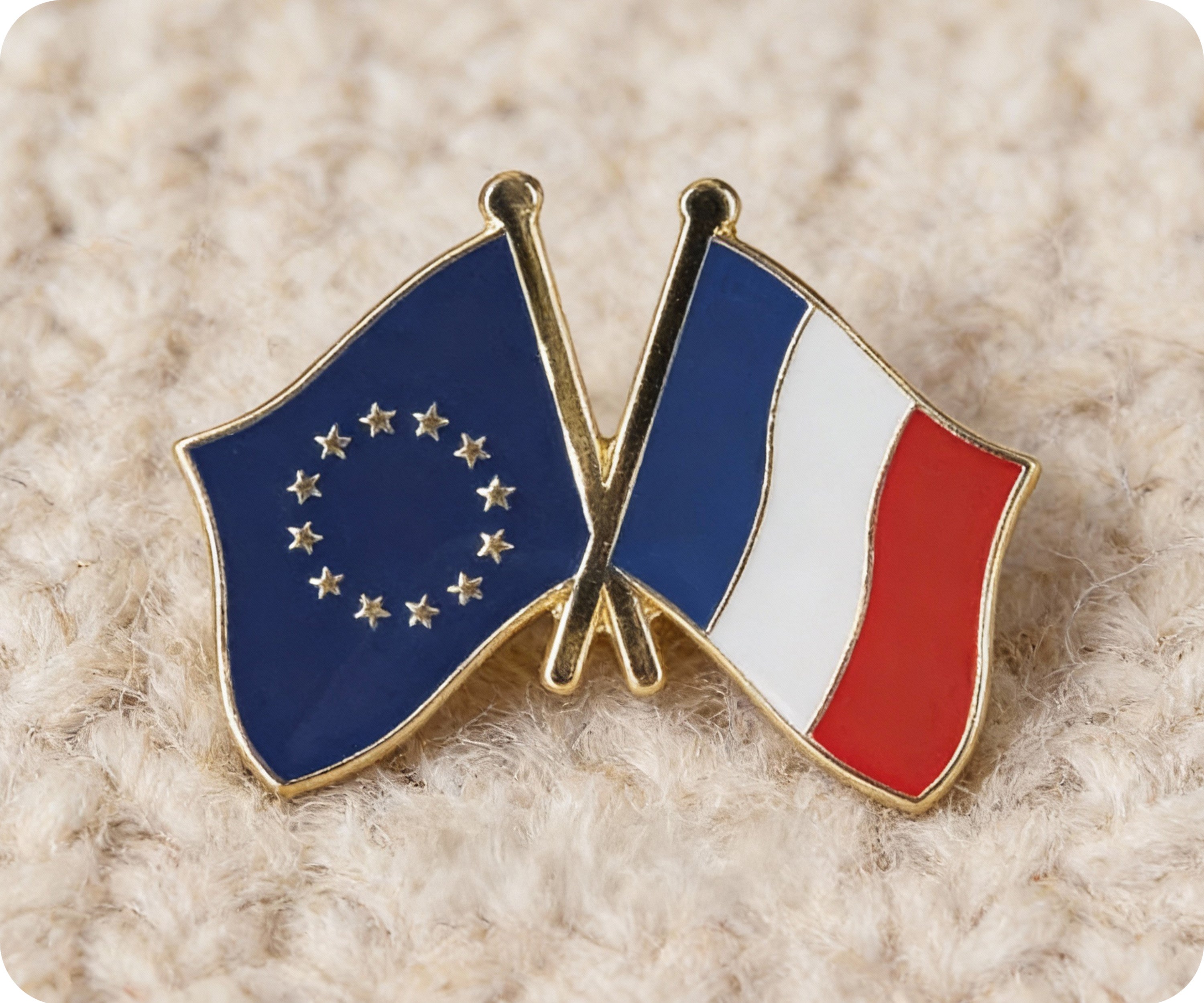 European Union & France EU Friendship Pin Badge