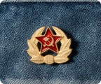 Soviet Star Wreath Pin Badge