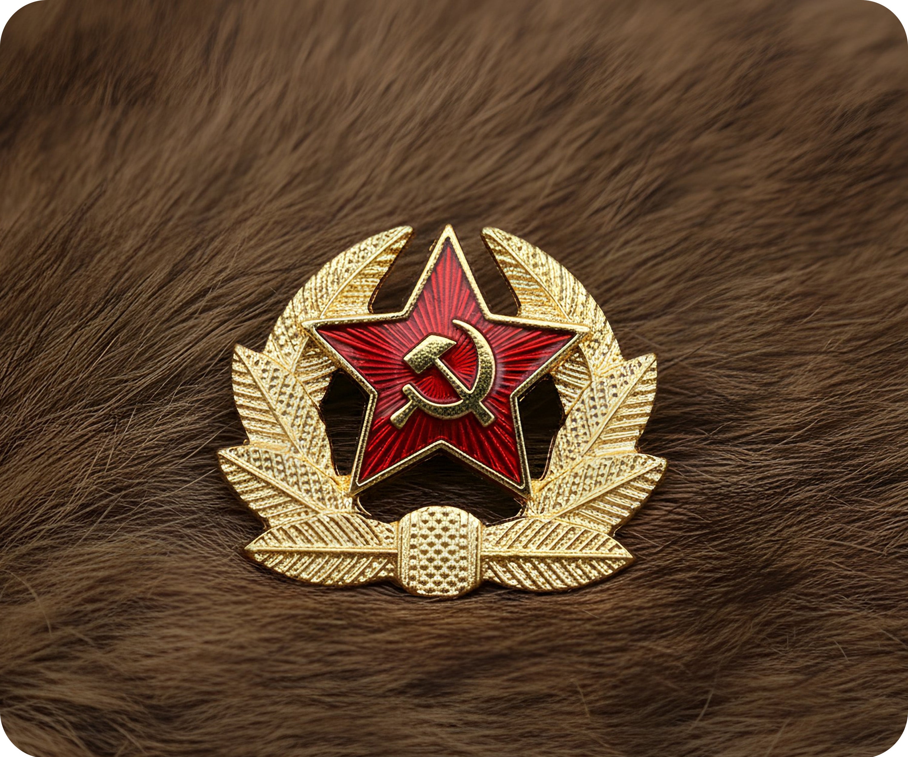 Soviet Star Wreath Pin Badge Secondary image