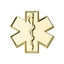 A gold-colored pin badge featuring the medical ambulance star symbol with a snake and staff motif. © Tigoli® 2026 All Rights Reserved Panda Loco Ltd 