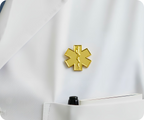 Gold Medical Ambulance Star Pin Badge
