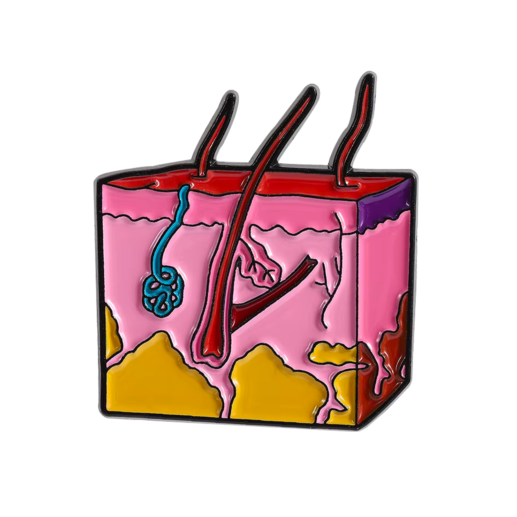 Insignia de pelo para la ciencia y la biología de la dermatología folicular Imagen principal del producto