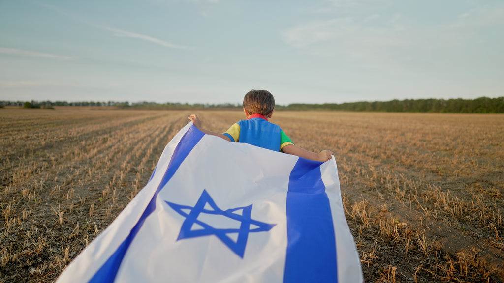 3' x 5' Israel Flag