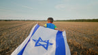 3' x 5' Israel Flag