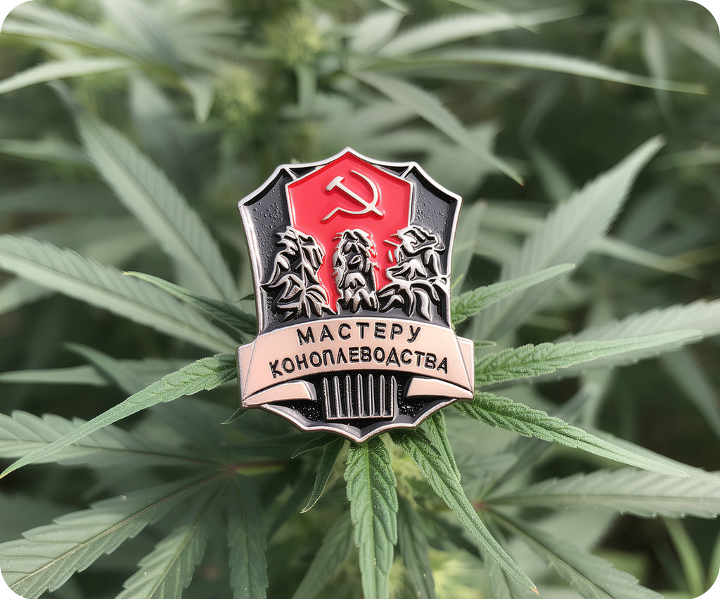 Soviet Master of Hemp Cultivation Pin Badge
