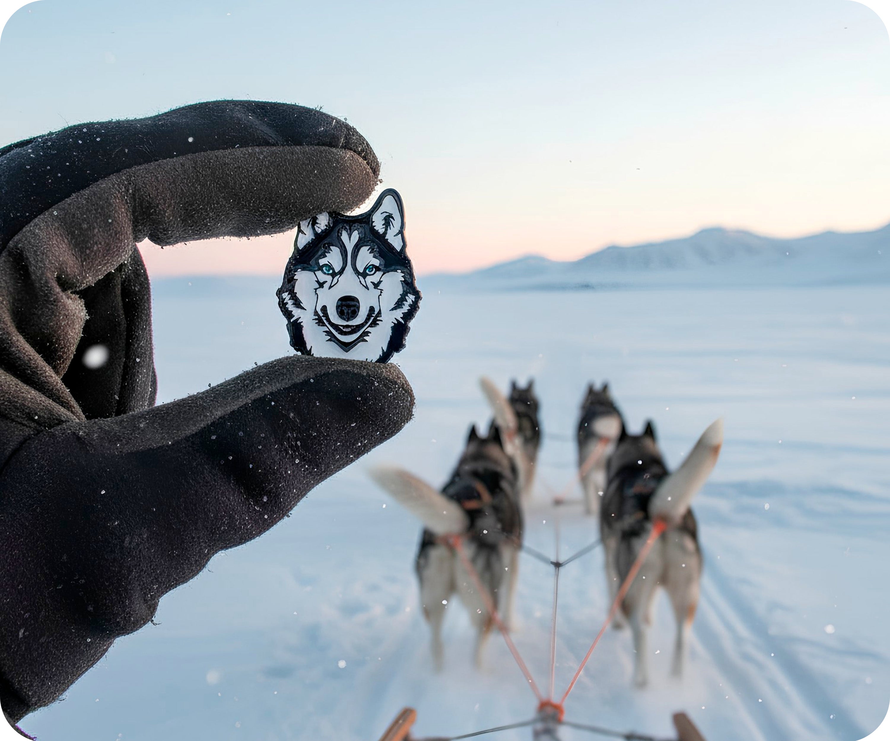 Insignia de perro husky Imagen secundaria del producto