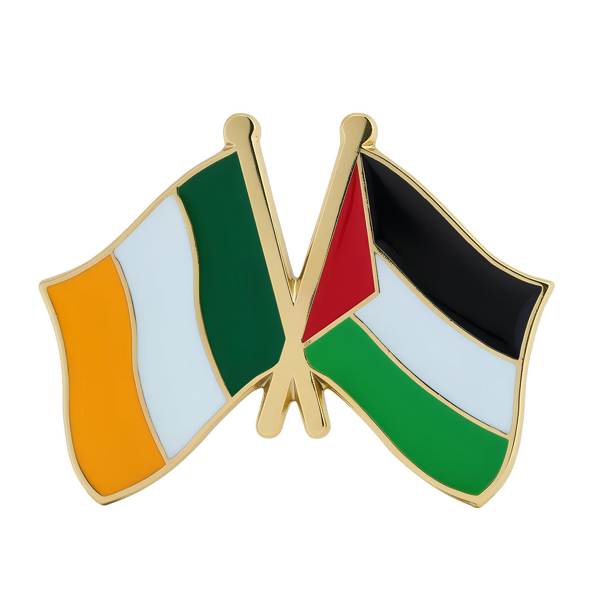 Pin de la amistad entre Irlanda y Palestina Imagen principal del producto
