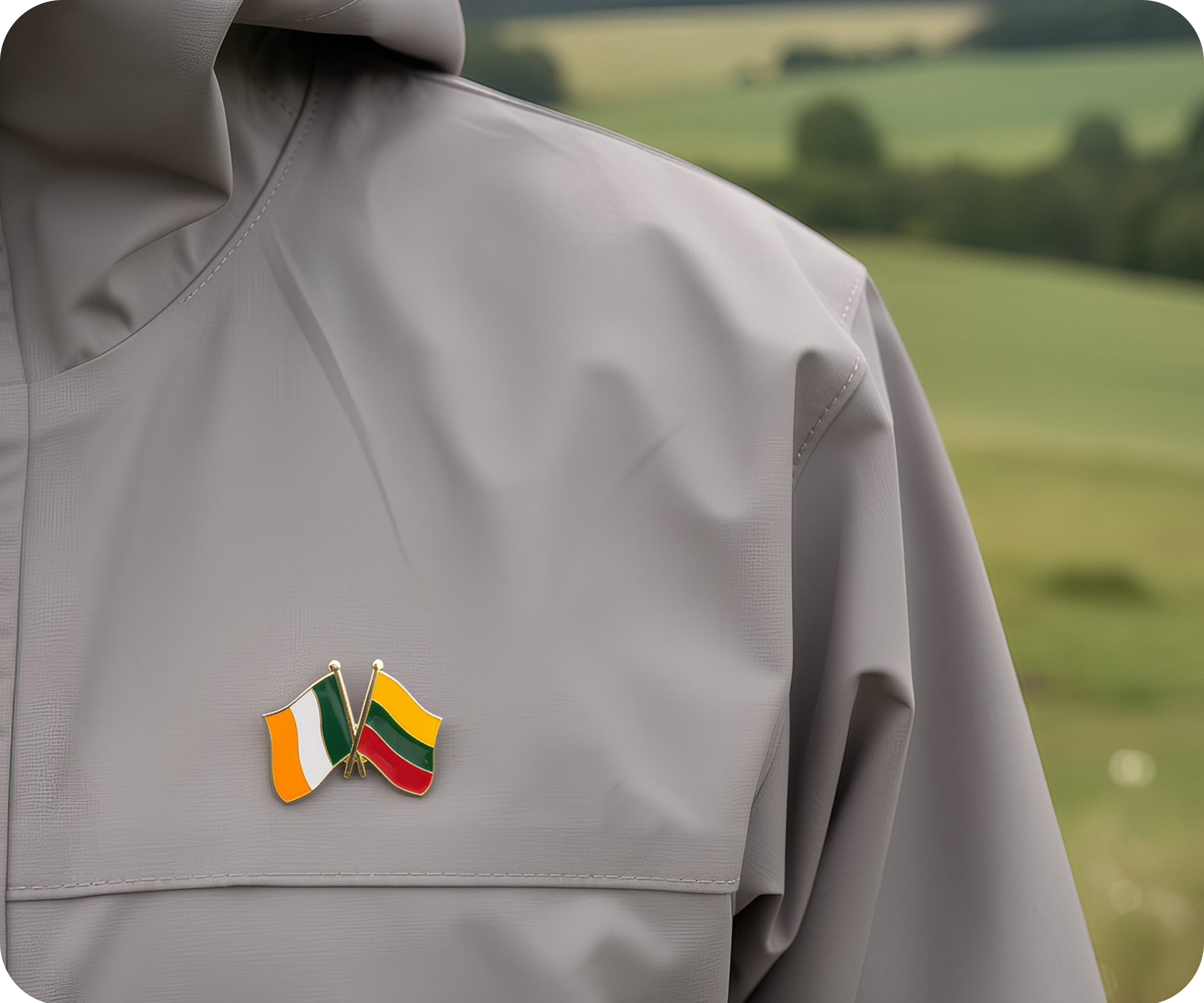 Insignia de amistad Irlanda y Lituania Imagen secundaria del producto
