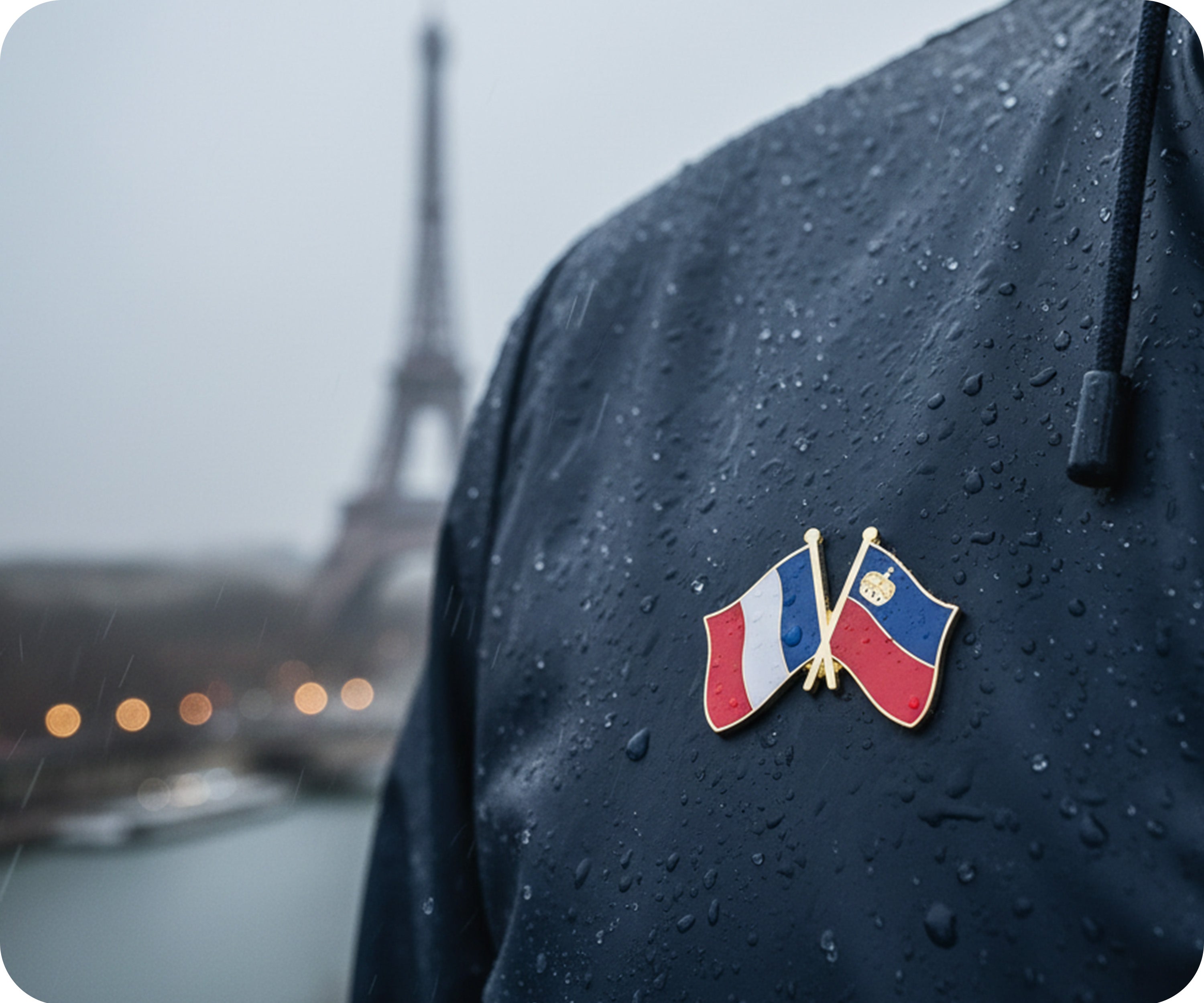 France & Liechtenstein Friendship Pin Badge