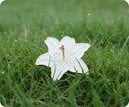 White Lilly Flower Pin Badge