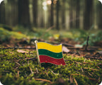 Lithuania Flag Pin Badge