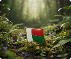 Madagascar Flag Pin Badge