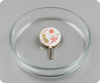 Magnifying Glass Microbes Pin Badge