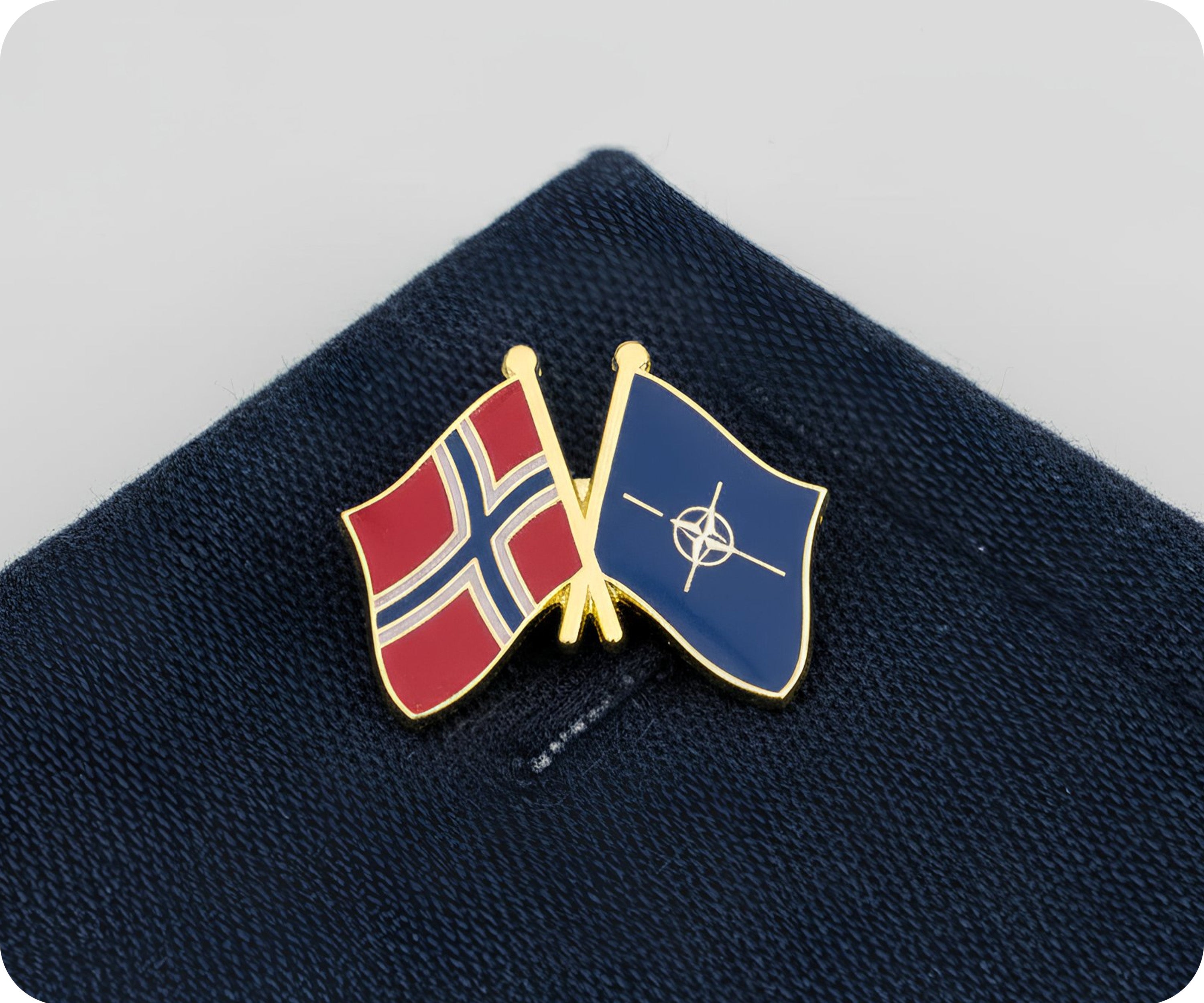 Norway & NATO Friendship Pin Badge