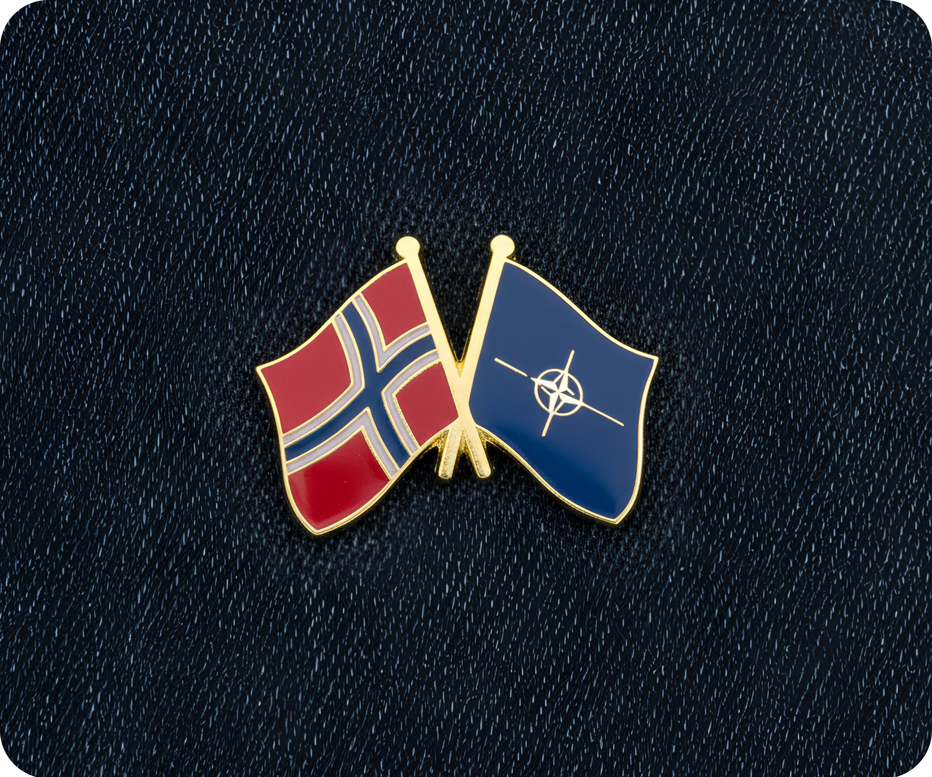 Pin de la amistad Noruega y OTAN Imagen secundaria del producto