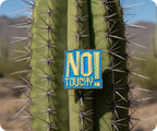 No Touchy! Pin Badge