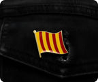 Northumbria English Flag Pin Badge