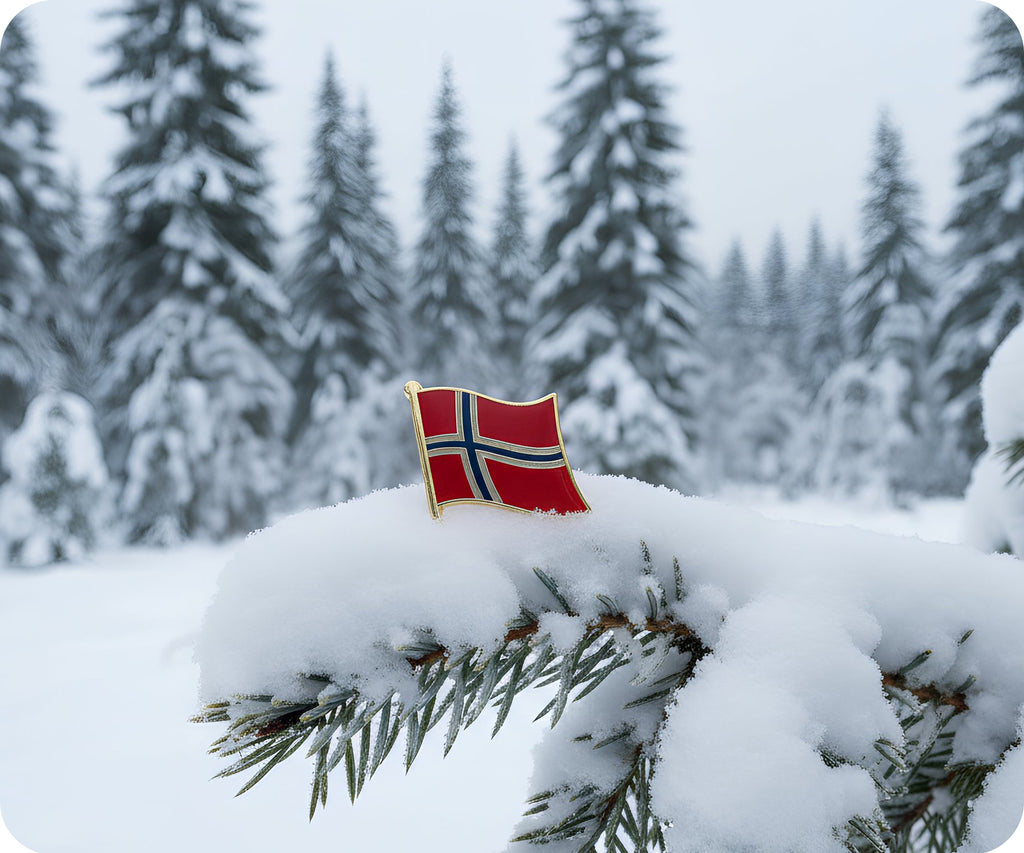 Norway Flag Pin Badge