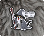 You Shall Not Pet Cat Fantasy Wizard Pin Badge