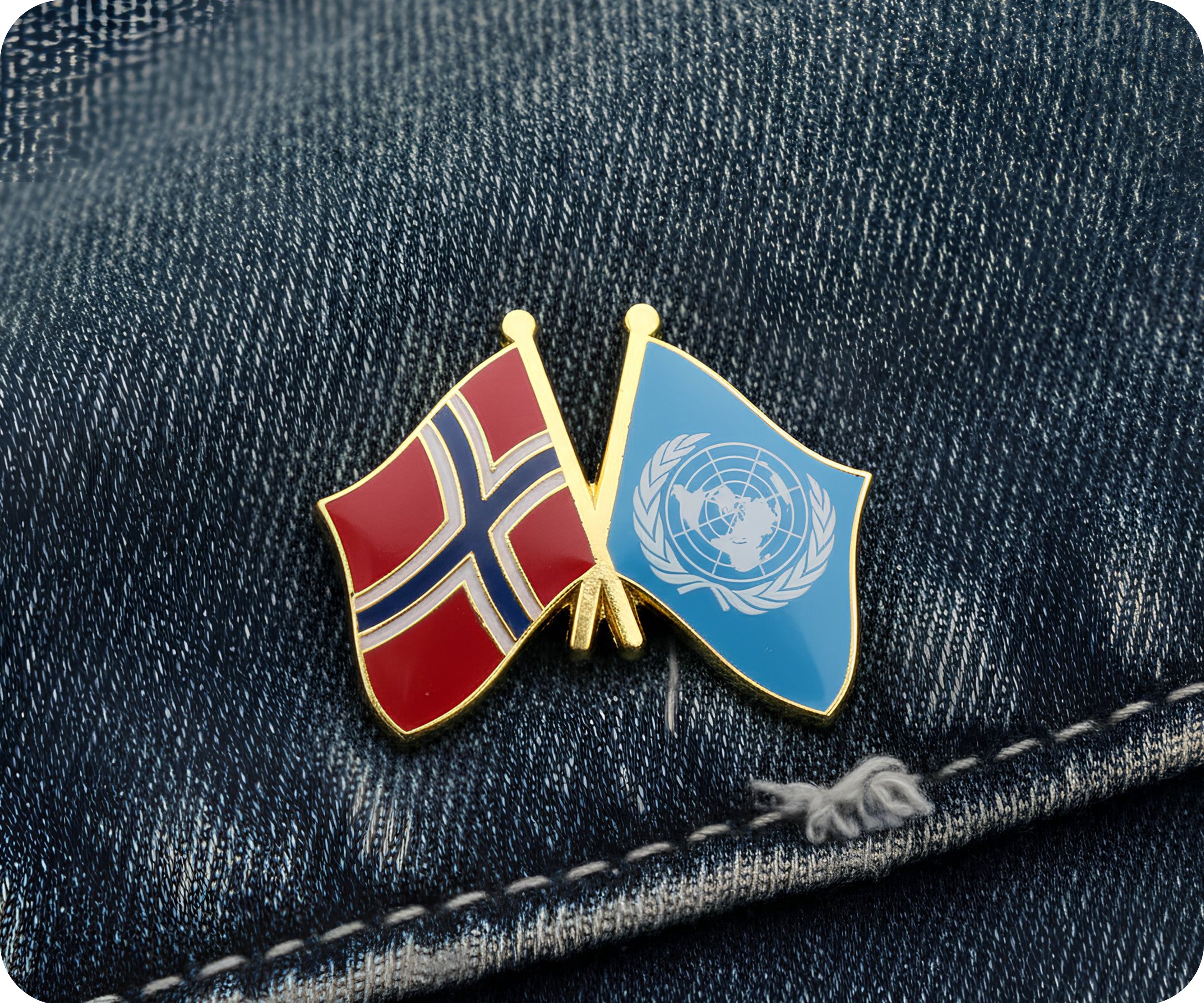 Pin de amistad de la ONU con Noruega y las Naciones Unidas Imagen secundaria del producto