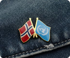 Norway & United Nations U.N. Friendship Pin Badge