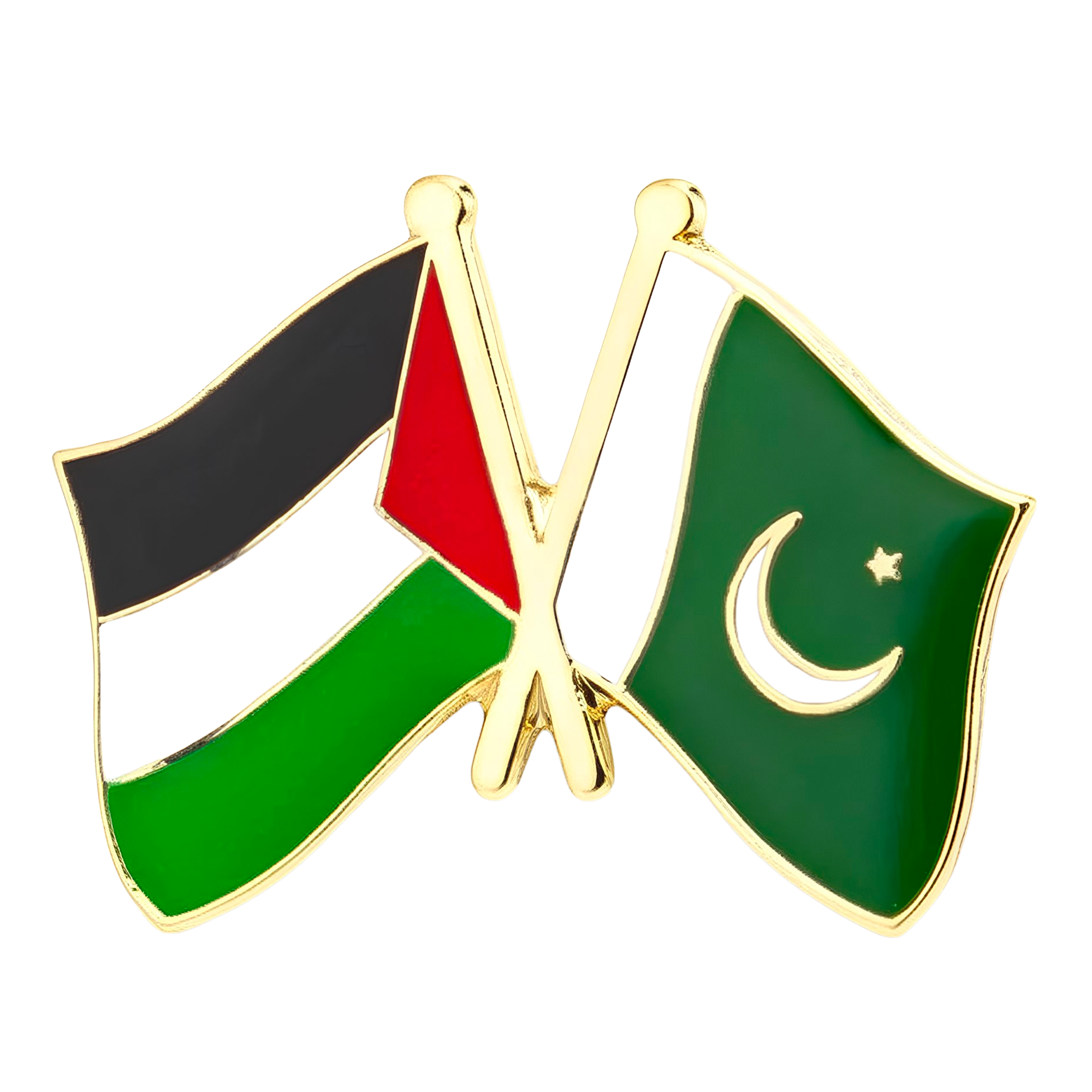 Pin de la amistad entre Palestina y Pakistán Imagen principal del producto