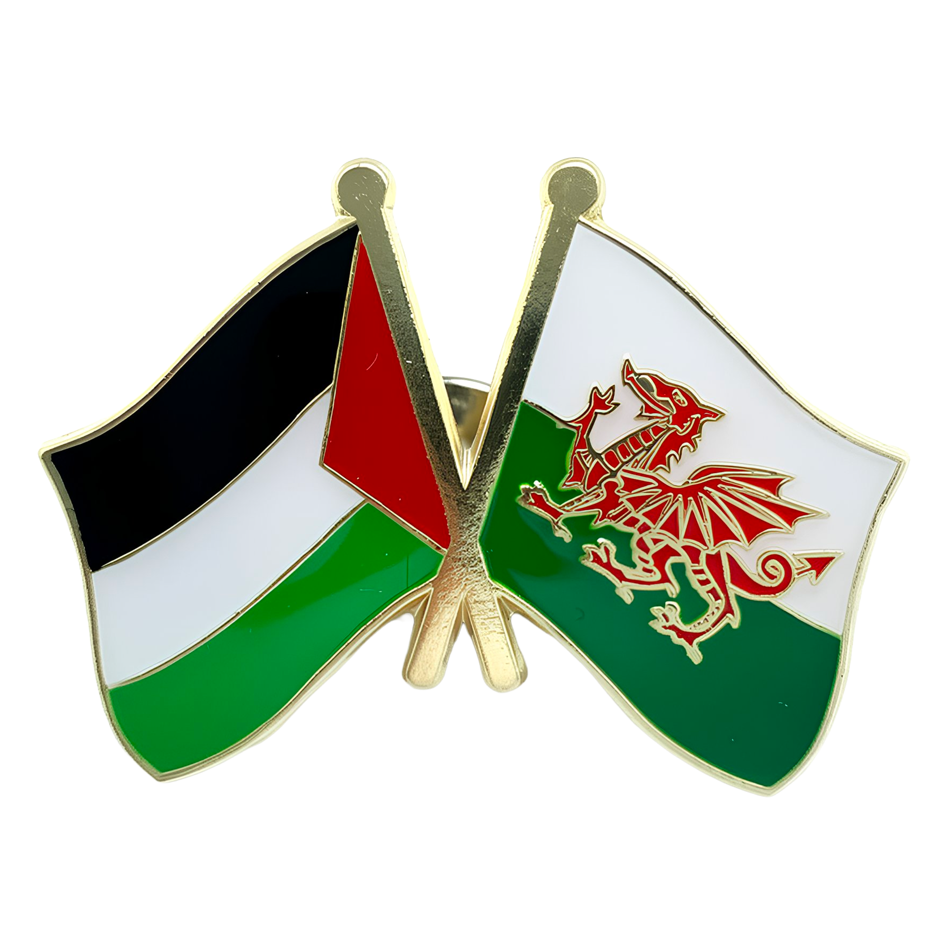 Pin de la amistad entre Palestina y Gales Imagen principal del producto