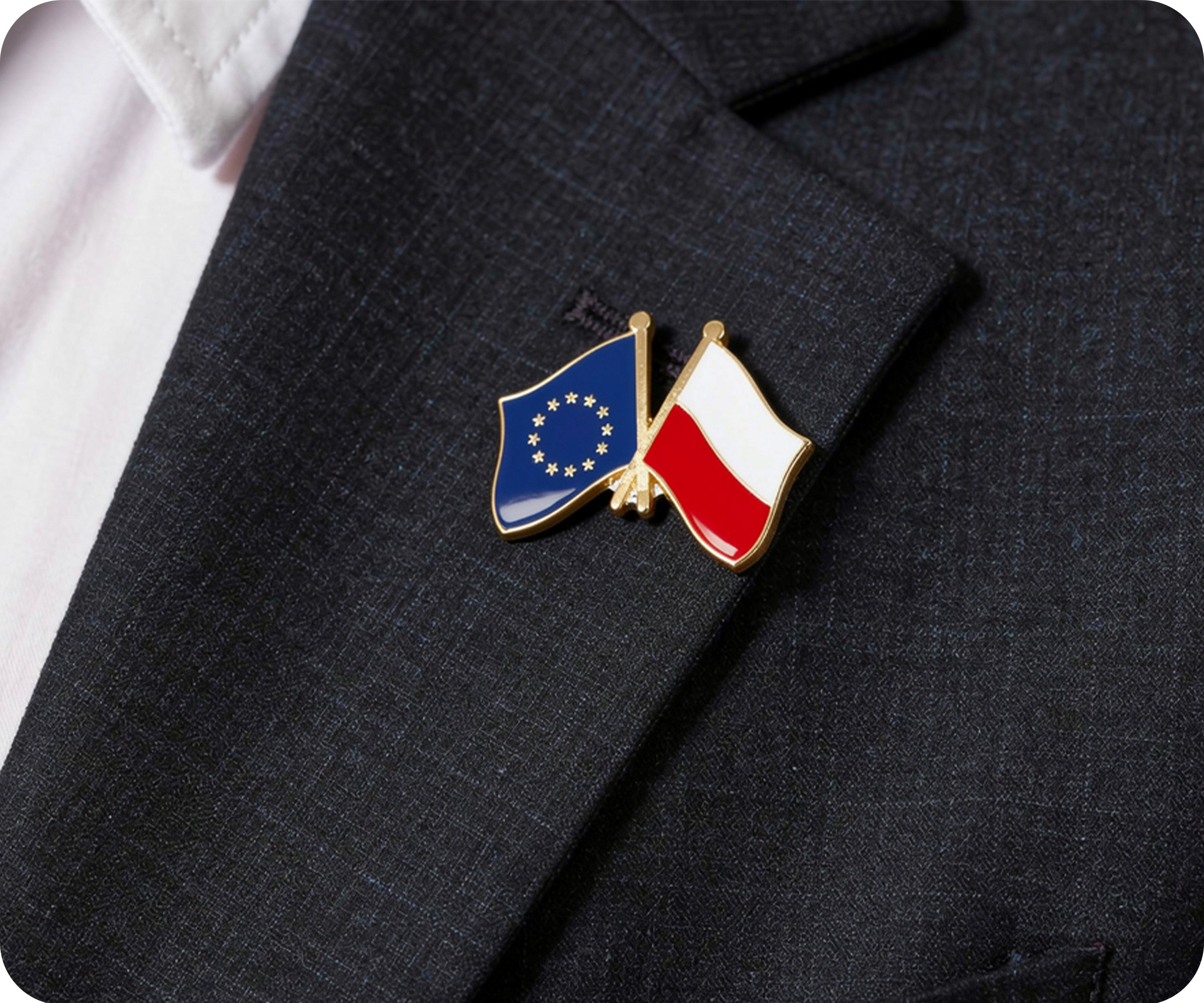 Pin de amistad entre la Unión Europea y Polonia Imagen secundaria del producto