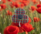 Tartan Poppy Pin Badge