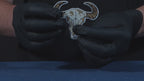 Buffalo Skull