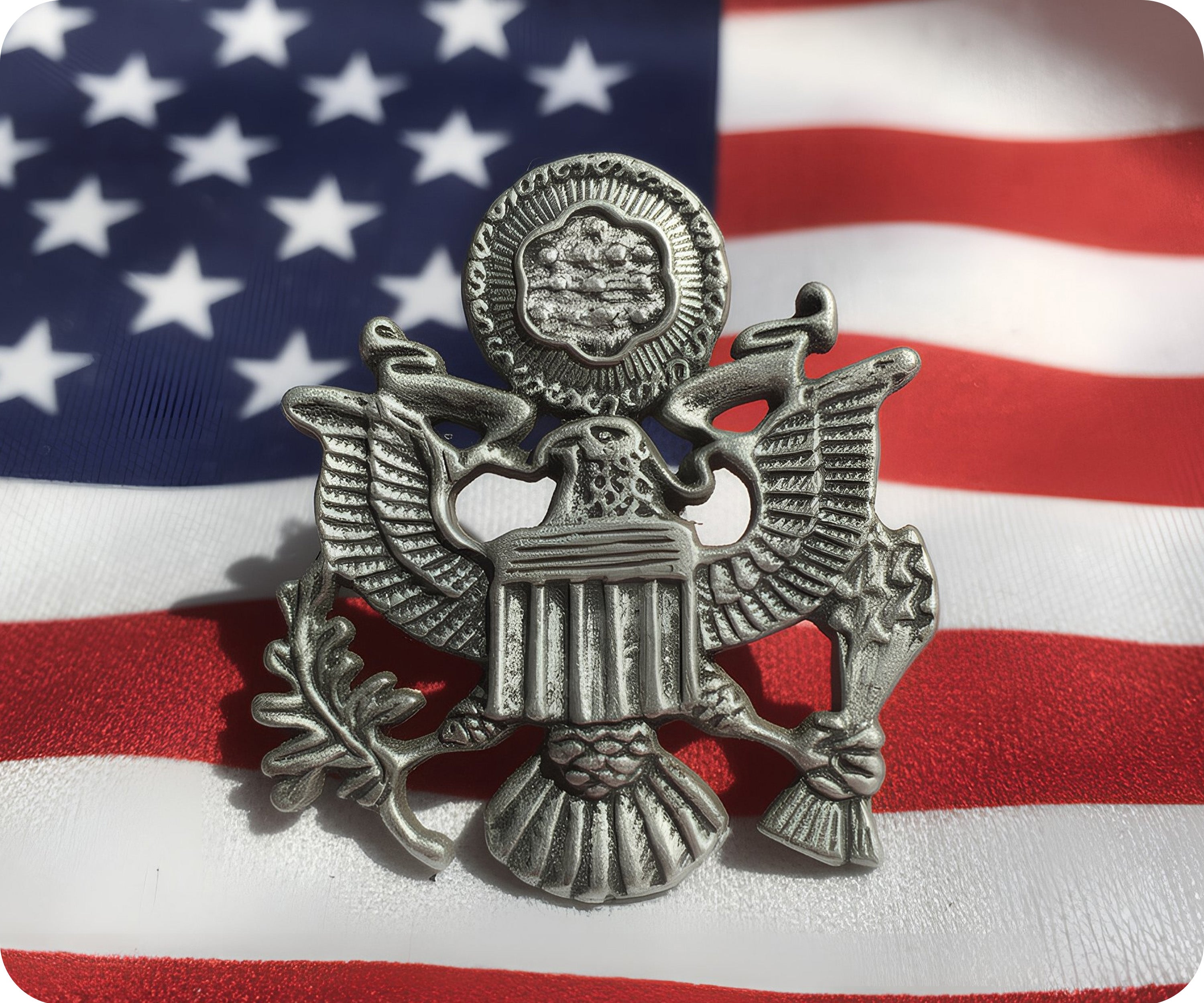 Presidential Seal United States USA Silver Pin Badge