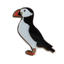 A pin badge depicting a puffin bird with black, white, and multicolor detailing on a metal backing. © Tigoli® 2026 All Rights Reserved Panda Loco Ltd 