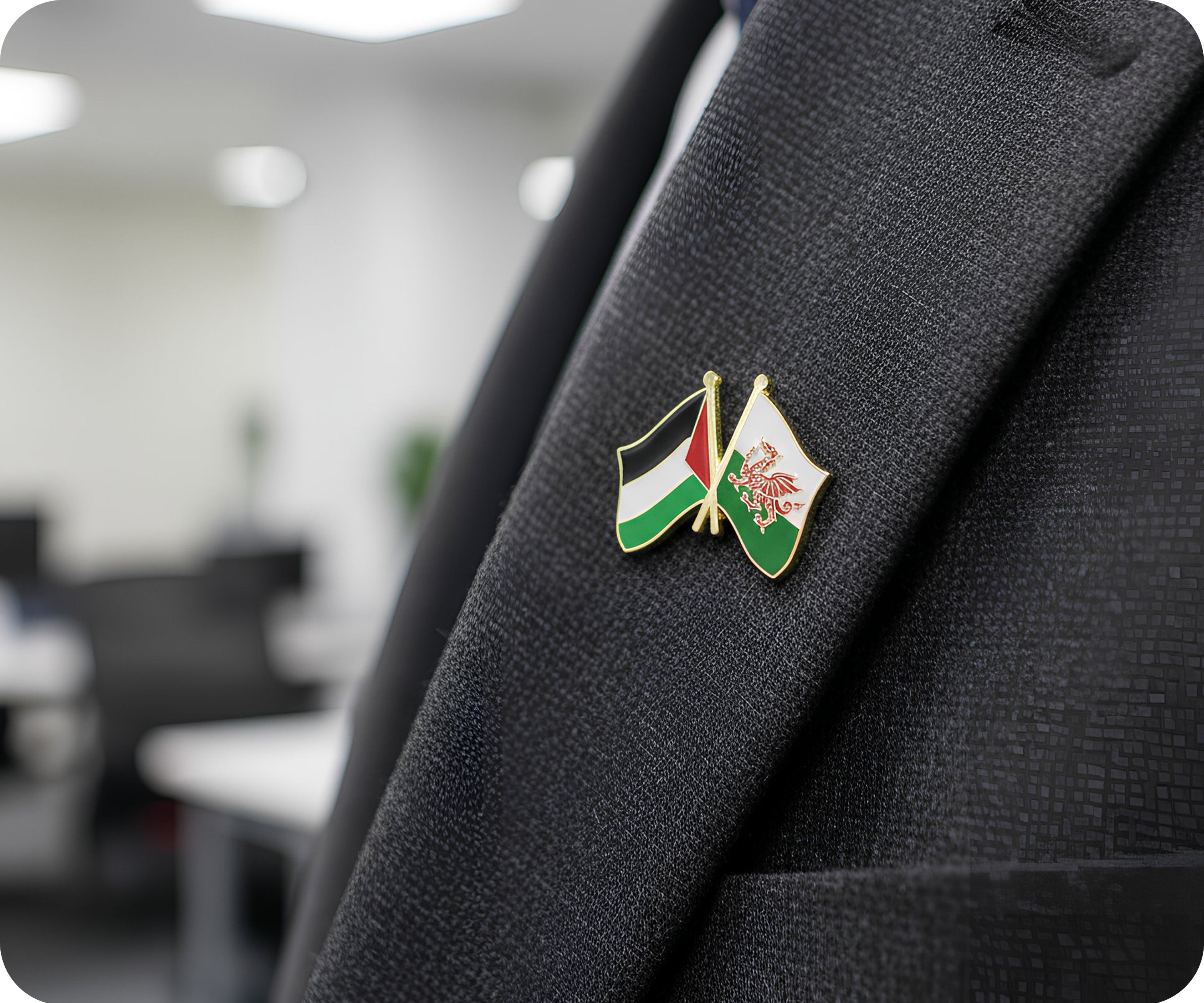 Pin de la amistad entre Palestina y Gales Imagen secundaria del producto