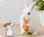Rabbit With Carrot Pin Badge