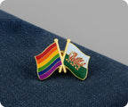 Rainbow & Wales Friendship Pin Badge