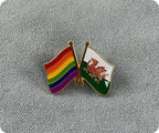 Rainbow & Wales Friendship Pin Badge
