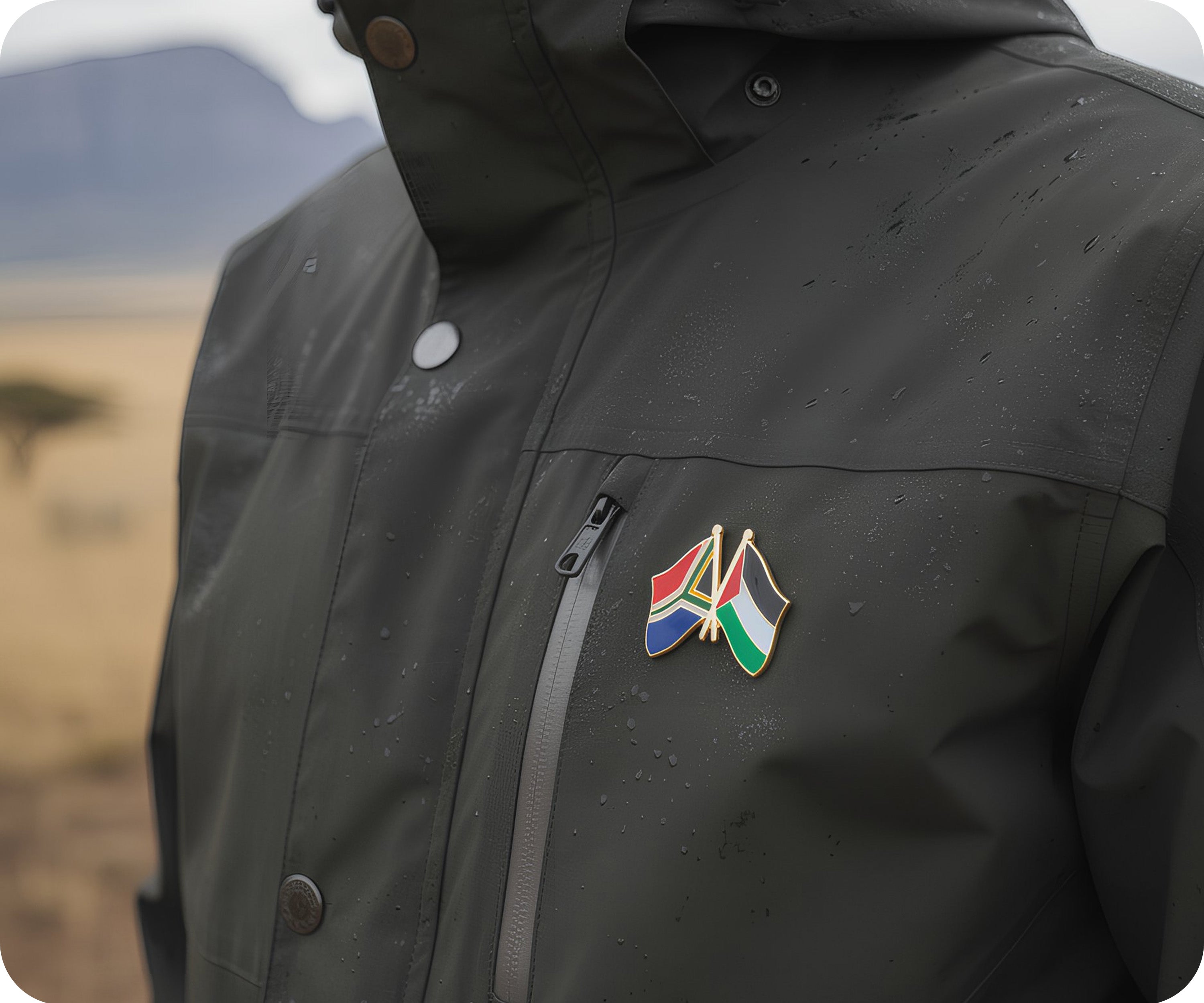 Pin de amistad de Sudáfrica y Palestina Imagen secundaria del producto